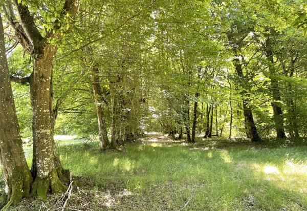 Propriete à vendre 16 pièces proche de BARBEZIEUX SAINT HILAIRE (16) sur 8.5 ha