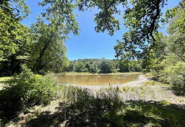 Propriete à vendre 16 pièces proche de BARBEZIEUX SAINT HILAIRE (16) sur 8.5 ha