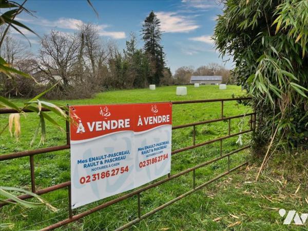 PERIERS (50) - Terrain