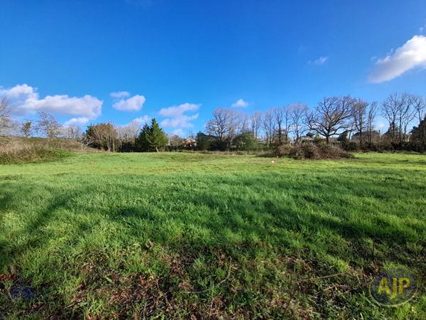 Vente terrain Le Champ Saint Pere : 45 360 € - AJP Immobilier Luçon