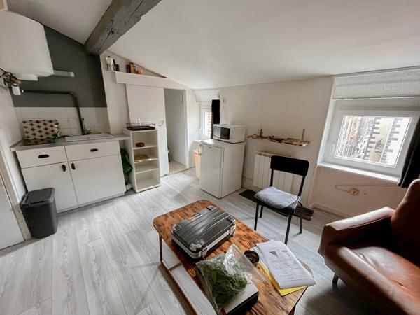 STUDIO 19M² PLATEAU CENTRAL