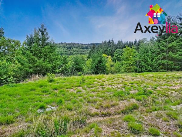 Renaison (42370) A VENDRE - TERRAIN CONSTRUCTIBLE VIABILISÉ - SECTEUR RENAISON