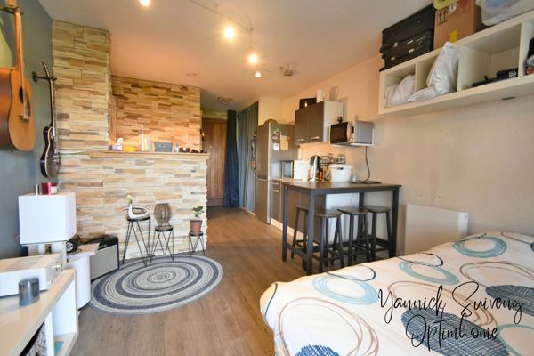 Studio à vendre au BARCARES (66420)