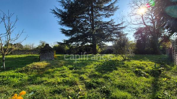 Terrain constructible de 430 m² à vendre SERMAISE (91530)