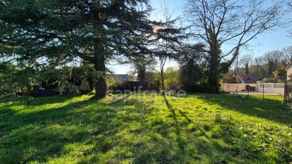 Terrain constructible de 430 m² à vendre SERMAISE (91530)