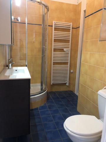 LYON 6e/Charmant 1 pièce de 40.16 m2 avec mezzanine