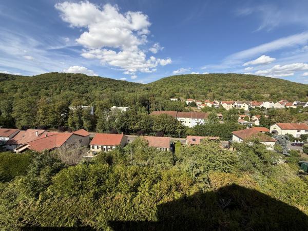 Achat vente Appartement Ars sur Moselle