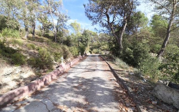 Maison à vendre    5 pièces •  Blausasc