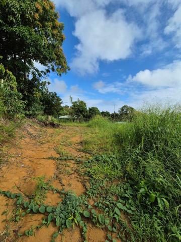 Terrain à vendre    Le Vauclin