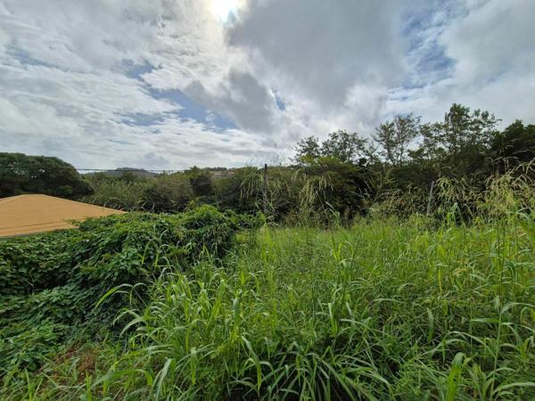 Terrain à vendre    Le Vauclin