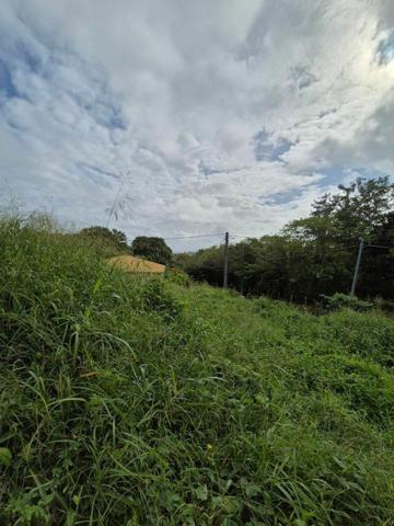 Terrain à vendre    Le Vauclin