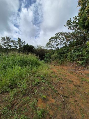 Terrain à vendre    Le Vauclin