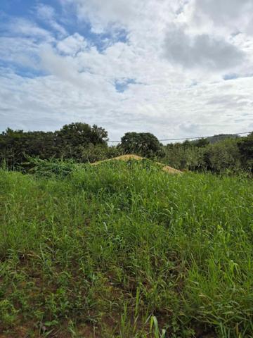 Terrain à vendre    Le Vauclin