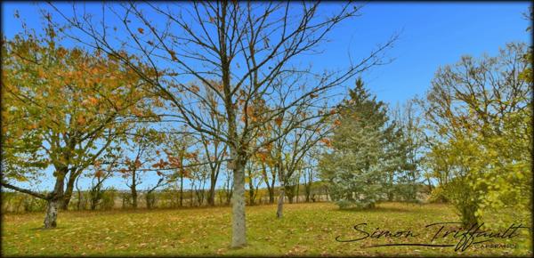 Fermette à vendre 6 pièces BOULOIRE (72)