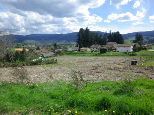 Terrain constructible viabilisé 1231 m² à vendre NOIRETABLE (42)