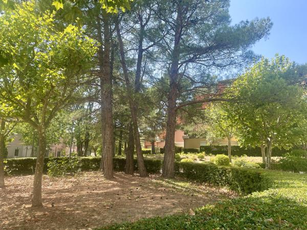 Appartement 4 pièces - 80 m² Exclusivité efficity