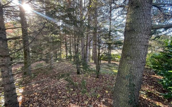 Maison à vendre    11 pièces •  Mende