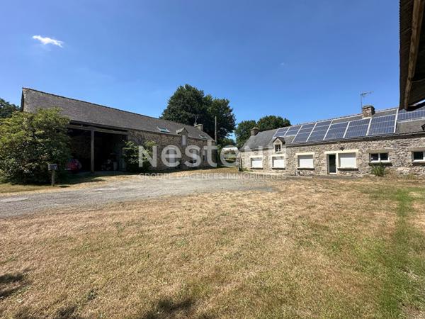 Ensemble de deux maisons à vendre avec hangar à NAIZIN entre Pontivy et Josselin- environ 5 000 M2 de terrain