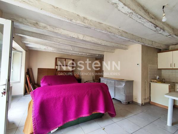 Ensemble de deux maisons à vendre avec hangar à NAIZIN entre Pontivy et Josselin- environ 5 000 M2 de terrain