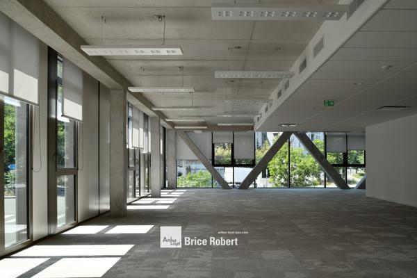 Bureaux à louer avec terrasses à Lyon 9ème dans immeuble moderne