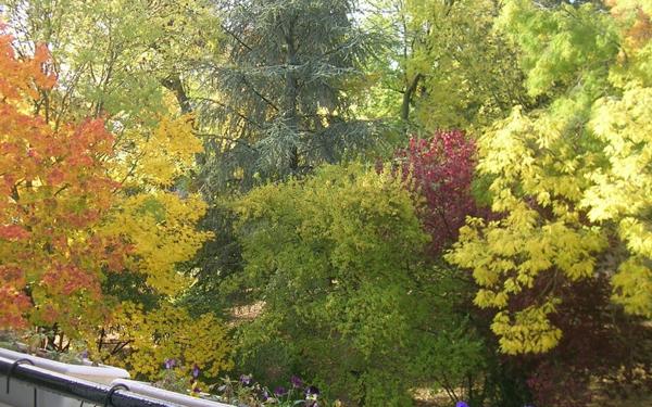 Appartement à louer    1 pièce •  Sèvres