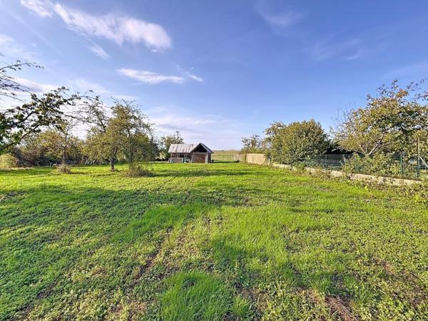 À vendre – Maison familiale rénovée avec piscine, balcon et dépendance – Sainte-Barbe (57640)