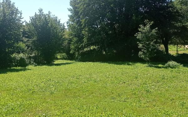 Terrain à vendre    Arçonnay