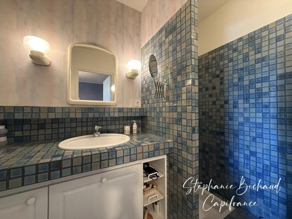 PROPRIETE à vendre 7 pièces CHATEAUVIEUX (05)