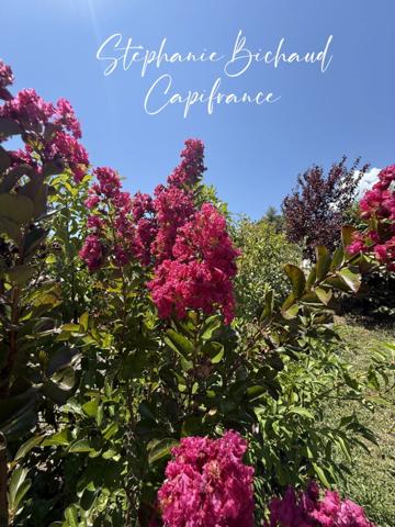 PROPRIETE à vendre 7 pièces CHATEAUVIEUX (05)