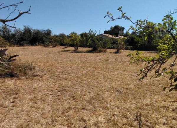 Terrain à vendre    Échiré