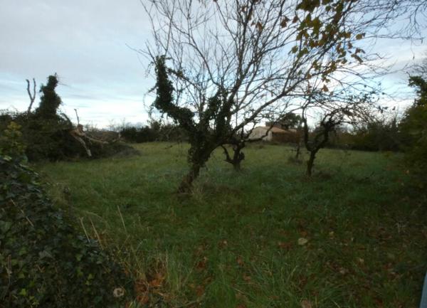 Terrain à vendre    Échiré