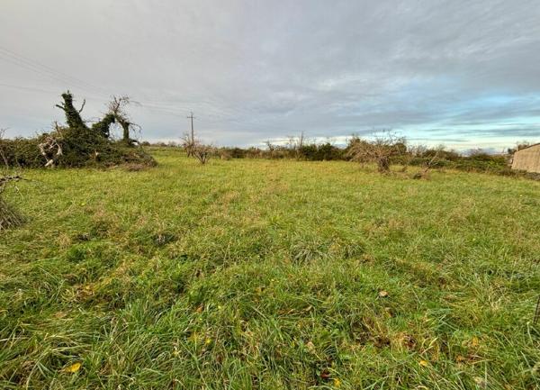 Terrain à vendre    Échiré