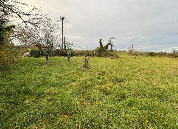 Terrain à vendre    Échiré