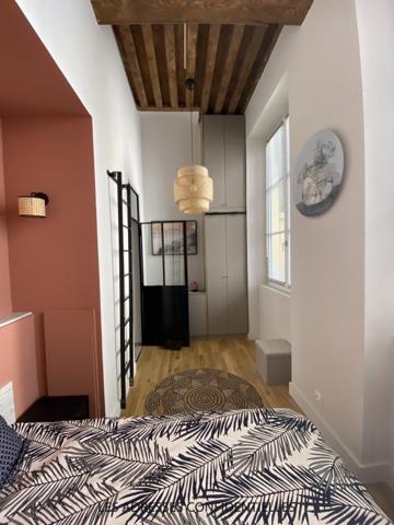 Lyon 1er - Croix Rousse - Superbe appartement canut T2 meublé avec mezzanine