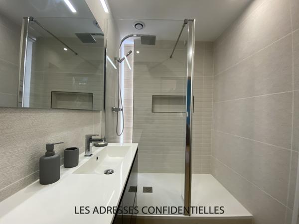 Lyon 1er - Croix Rousse - Superbe appartement canut T2 meublé avec mezzanine