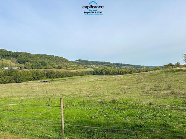 Propriete à vendre 12 pièces FOULAYRONNES (47) Maison de 315 m2 + gîte sur terrain clos de 8,7ha.
