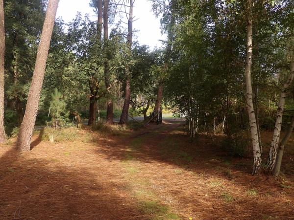 Maison style architecte des années 70 dans un cadre exceptionnel et lumineux.