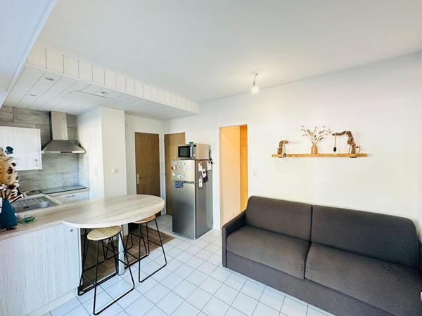 Appartement   cabine avec terrasse en RDJ