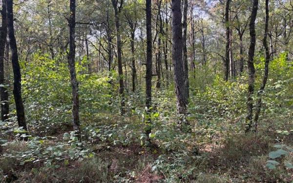 Terrain à vendre    Villefranche-sur-Cher