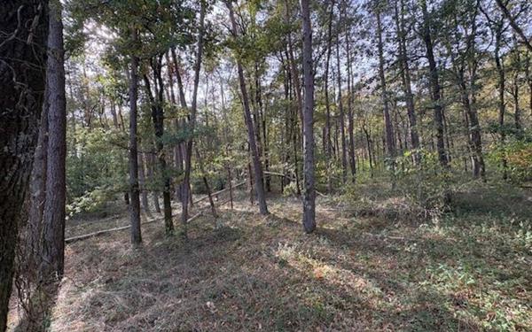 Terrain à vendre    Villefranche-sur-Cher