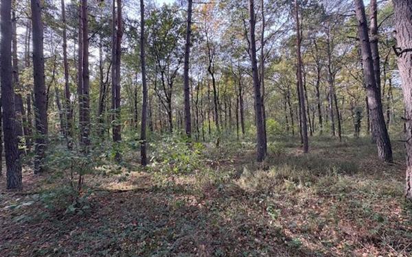 Terrain à vendre    Villefranche-sur-Cher