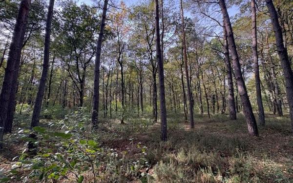 Terrain à vendre    Villefranche-sur-Cher