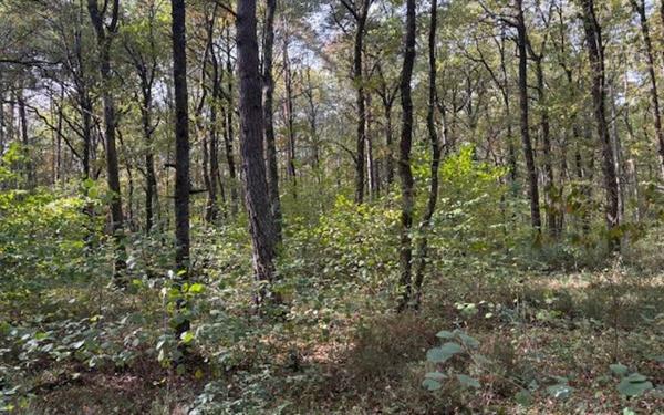 Terrain à vendre    Villefranche-sur-Cher