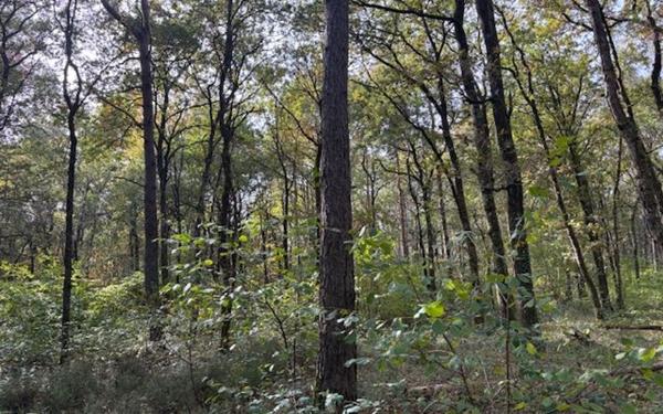 Terrain à vendre    Villefranche-sur-Cher