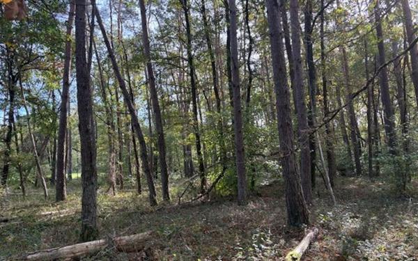 Terrain à vendre    Villefranche-sur-Cher