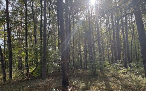 Terrain à vendre    Villefranche-sur-Cher