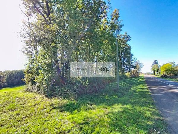 Terrain constructible 1279 m² avec vue dégagée – Molières (82)