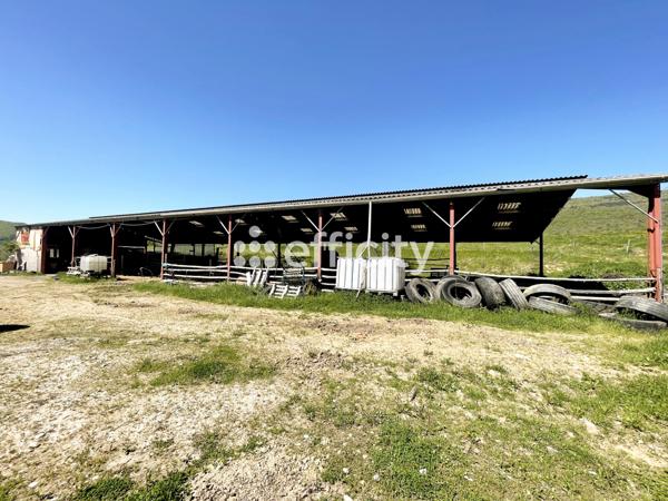 Terrain - 200000 m²