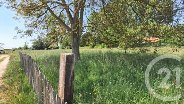 Terrain à vendre  2934 m 2   ARGOULES  - 80