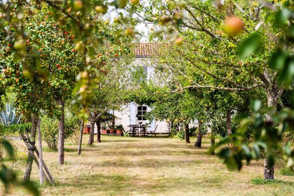 Vente Maison de luxe Arvert 6 Pièces 217 m²